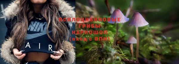 прущие крисы Алзамай
