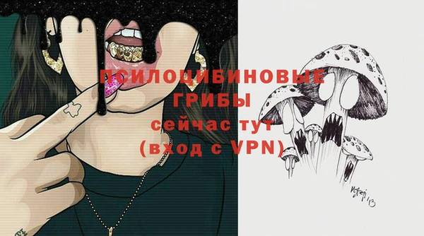 сатива Костерёво