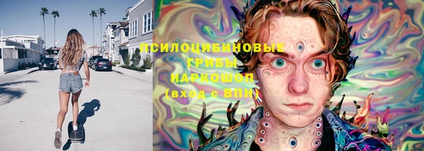 прущие крисы Алзамай