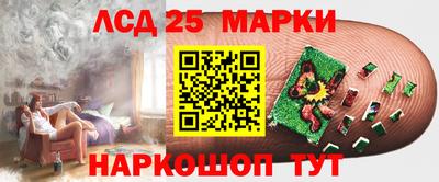 индика Владимир