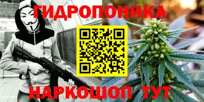 индика Владимир