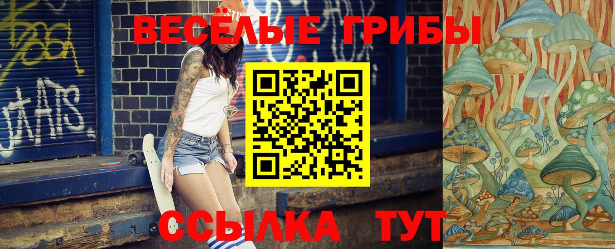 Алексеевка  Галлюциногенные грибы прущие грибы  Вход с VPN 