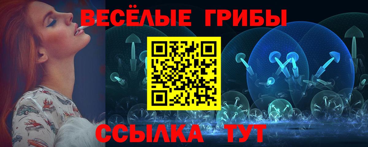 Псилоцибиновые грибы мицелий Алексеевка